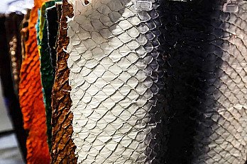 Las exportaciones de cuero y piel de México a Brasil se desploman un 63,7 % tras un 2025 de crecimiento sostenido